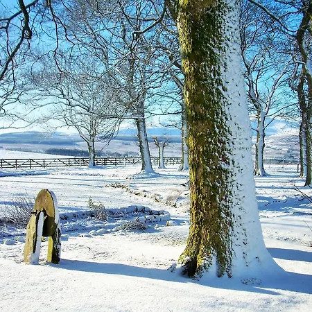 Grisdale View * Penrith