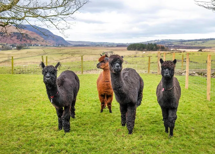 Grisdale View Penrith
