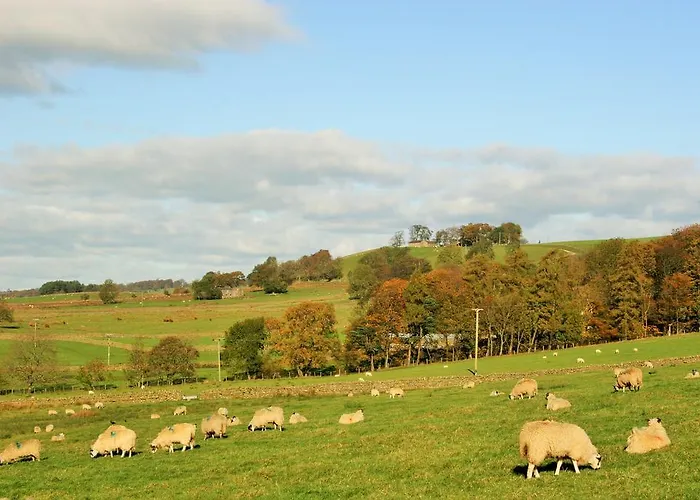 Ferienhaus Grisdale View
