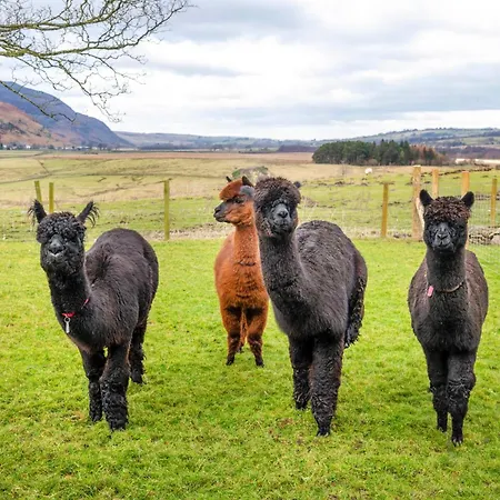 Grisdale View Penrith